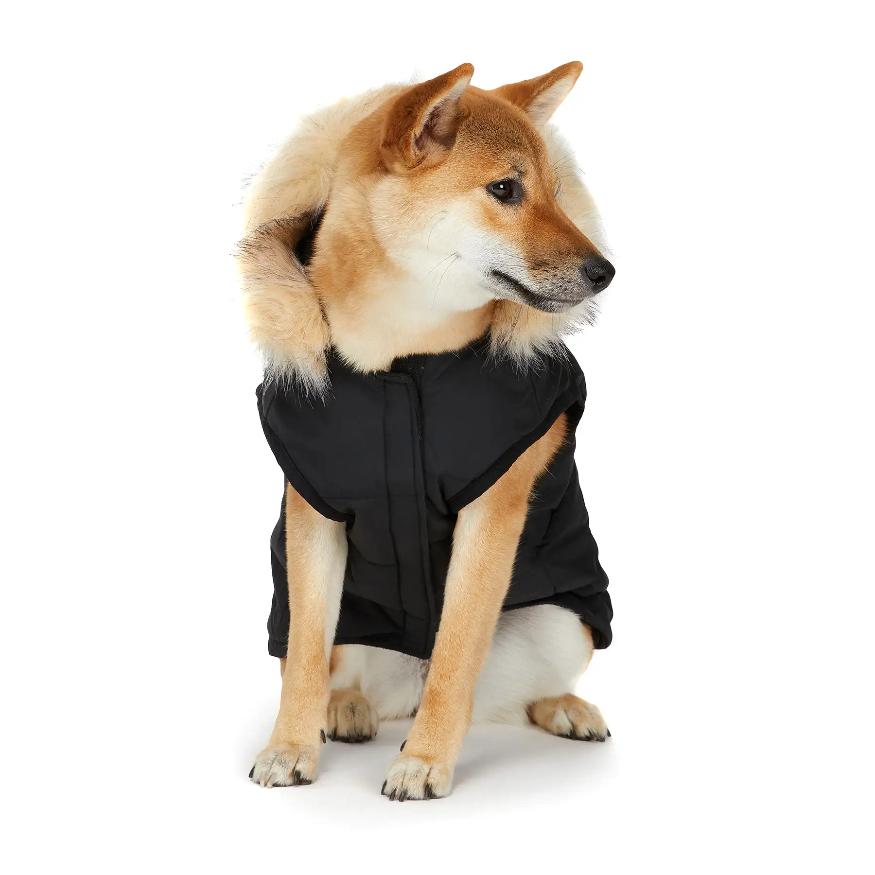 Barnard Jacket for Dogs