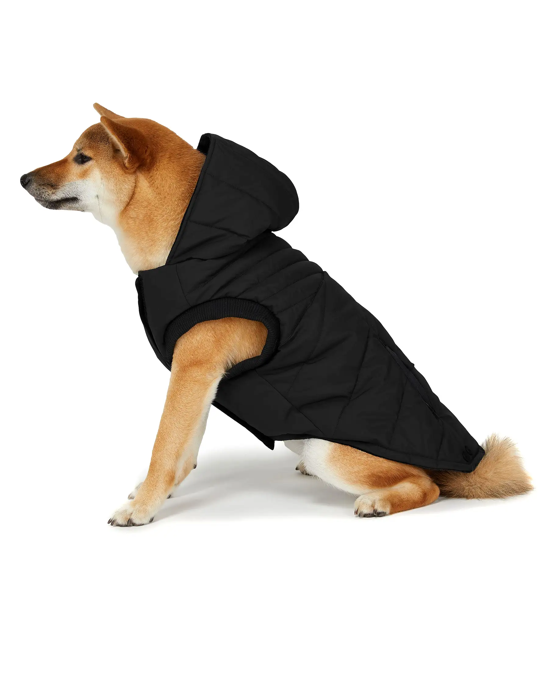 Birch Jacket for Dogs