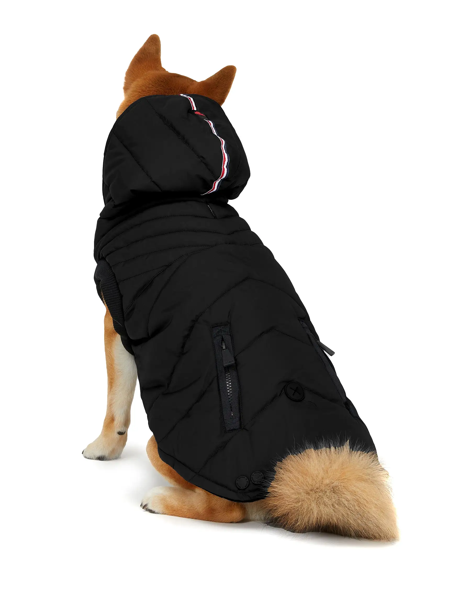 Birch Jacket for Dogs