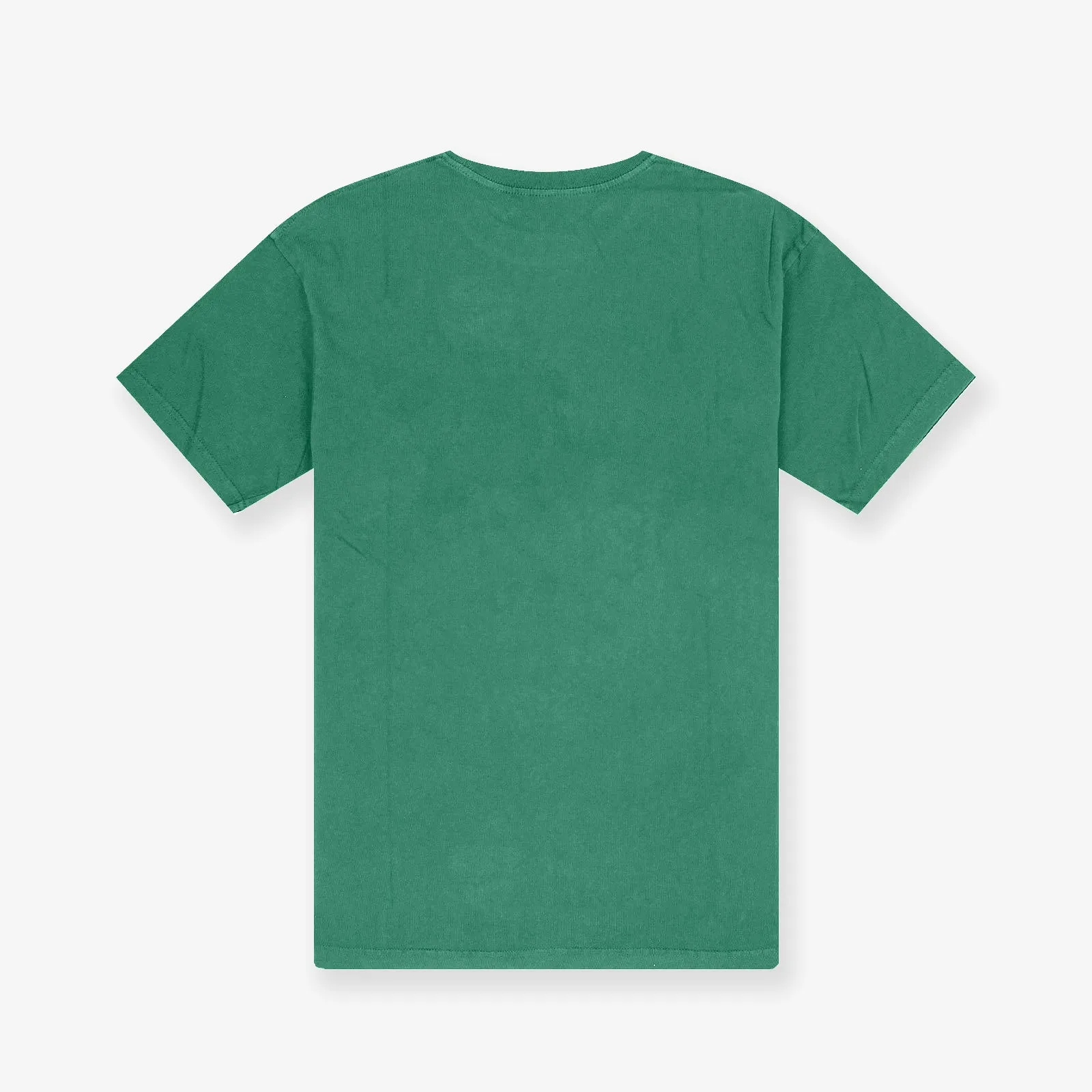 Boston Celtics Brush Off Tee - Faded Green