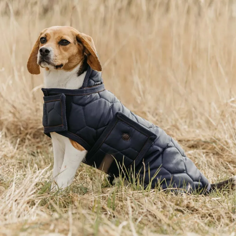 QHP Classy Dog Coat - Navy