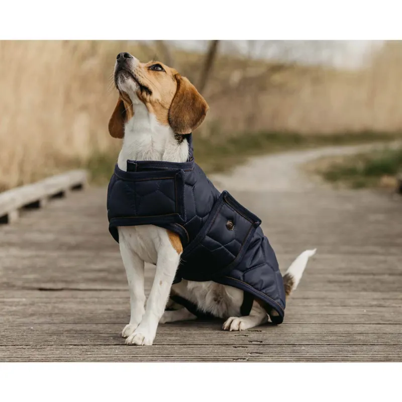 QHP Classy Dog Coat - Navy